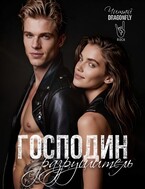Господин Разрушитель (Читай DRAGONFLY)