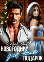 Новогодний подарок для босса (Кара Мин)