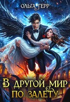 В другой мир по залету (Ольга Герр)