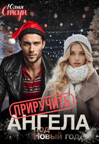 Приручить ангела (Юлия Стоун)