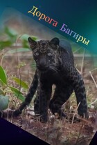 Дорога Багиры (Таня Белозерцева)