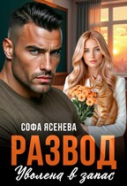 Развод. Уволена в запас (Софа Ясенева)