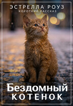 Бездомный котенок (Estrella Rose)