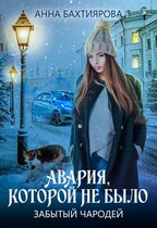 Забытый чародей. Авария, которой не было (Анна Бахтиярова)
