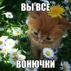 Тест (Tanya)