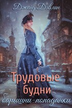 Трудовые будни барышни-попаданки (Джейд Дэвлин)