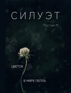 Силуэт (Rustam Magomedov)