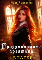 Преддипломная практика (Нина Ахминеева)