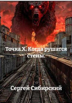Точка Х. Когда рушатся стены (Сергей Сибирский)