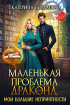 Маленькая проблема дракона, или Мои большие неприятности (Екатерина Богданова)
