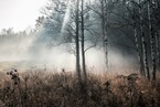 В туман (Постников Юрий)