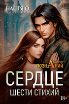 Сердце шести стихий (Академия Познаний — 2) (Настя О.)