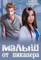 Малыш от пикапера (Светлана Нарватова)