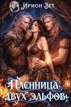 Пленница двух эльфов (Ирион Зет)