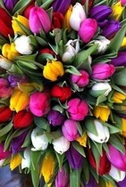 Куплю тебя. Навсегда. Бонус (Галина  Чередий)