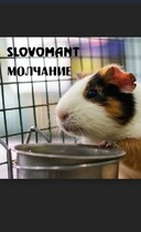 Молчание (Slovomant)