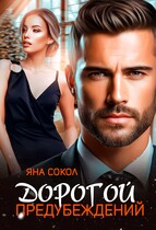 Дорогой предубеждений (Яна Сокол)