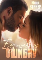 Без права на ошибку (Юлия Вернер)
