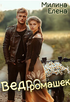 Ведро ромашек (Елена Милина)